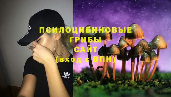 ешки Зеленокумск