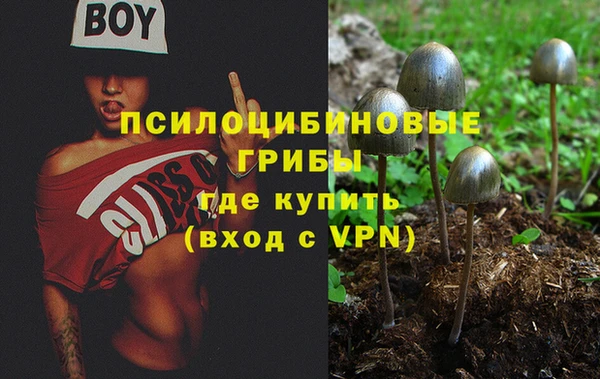 ешки Зеленокумск