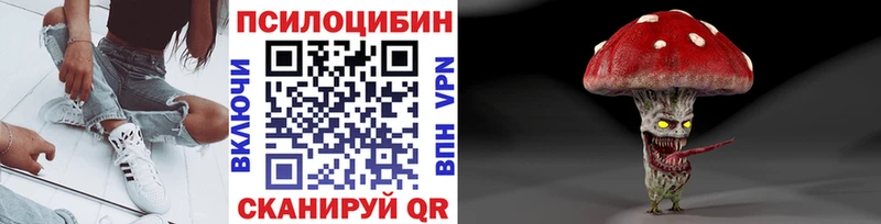 Купить закладки  Западная Двина  Псилоцибиновые грибы Magic Shrooms 